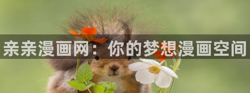 歪歪漫画免费首页官网