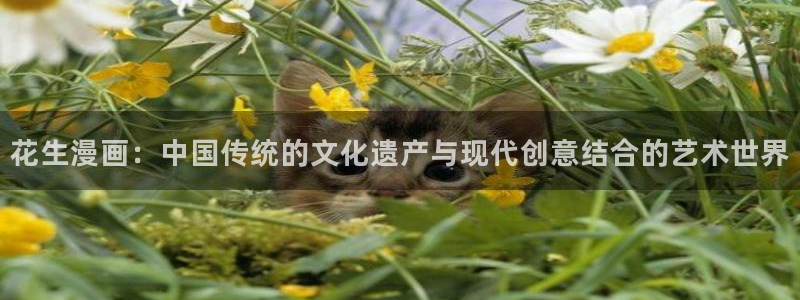 韩国歪歪漫画免费观看